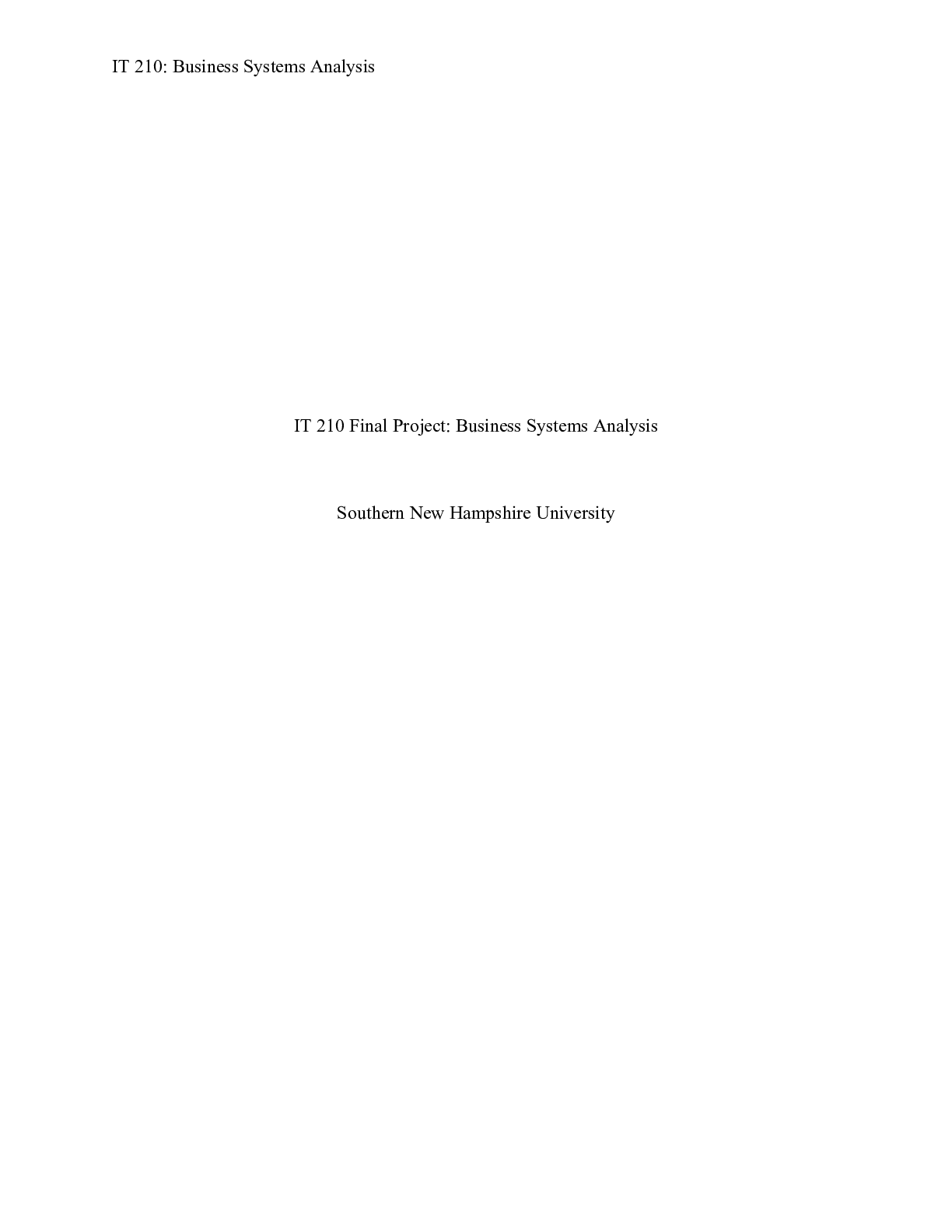 Preview image for IT 210 Final Project Template  2 |    IT 210 Final Project: Business Systems Analysis